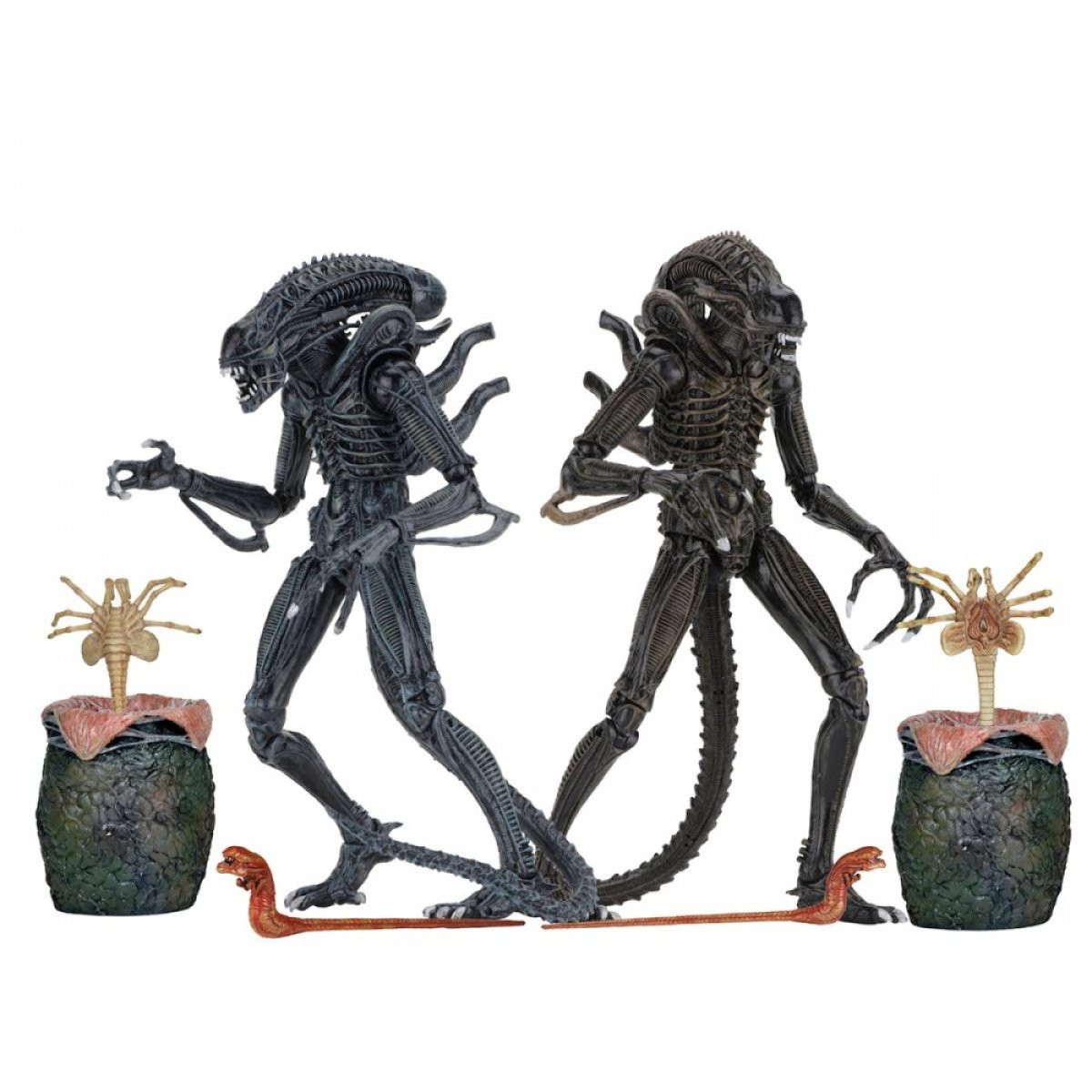 ALIENS - FIGURA DE ACCIÓN - ULTIMATE ALIENS WARRIORS